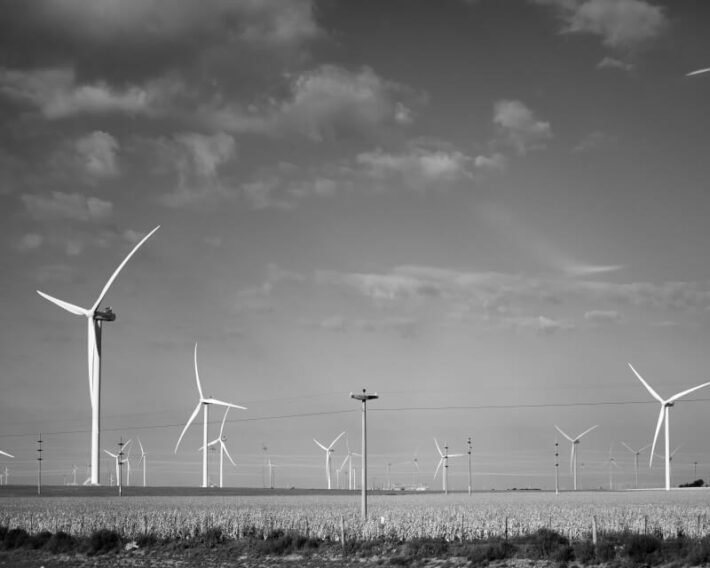 Grassy field with dozens of wind turbines.