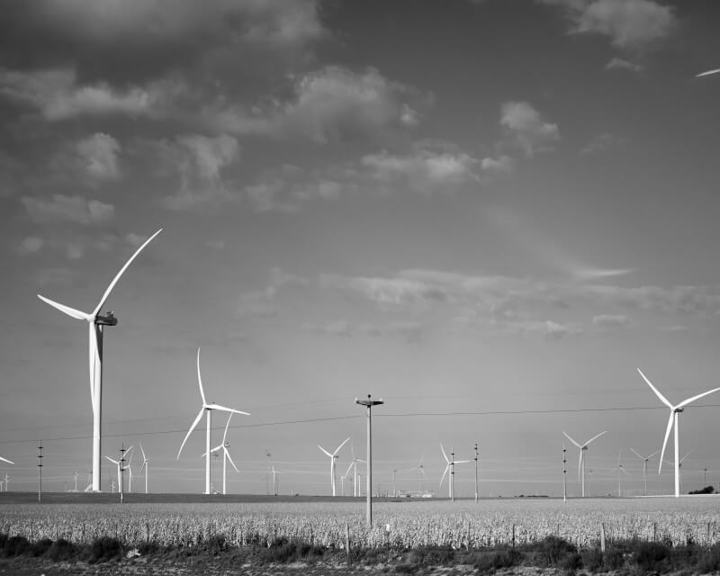 Grassy field with dozens of wind turbines.